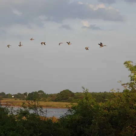 Luckow Georg Asmussen Haus *