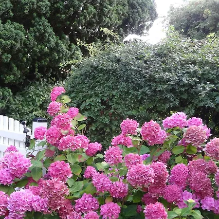 Luckow Georg Asmussen Haus * Pommerby (Gelting)