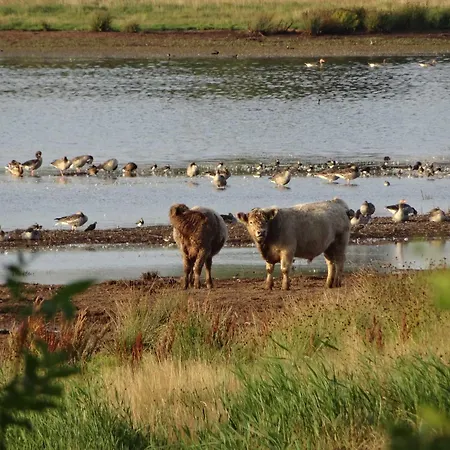 Dom wakacyjny Luckow Georg Asmussen Haus Pommerby (Gelting)